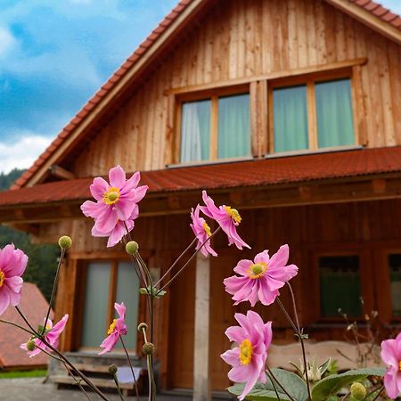 Dolomiti Village Comeglians Exterior photo